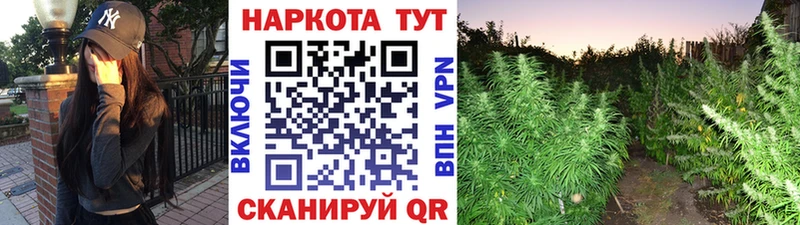 Где купить наркотики Махачкала Метамфетамин  МЕФ  ГАШИШ 