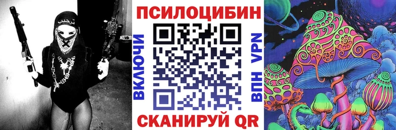 Псилоцибиновые грибы Magic Shrooms  купить закладку  KRAKEN tor  Махачкала 